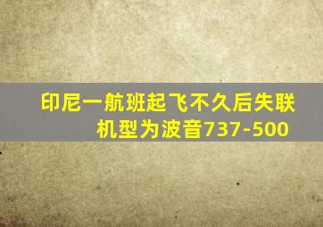 印尼一航班起飞不久后失联 机型为波音737-500